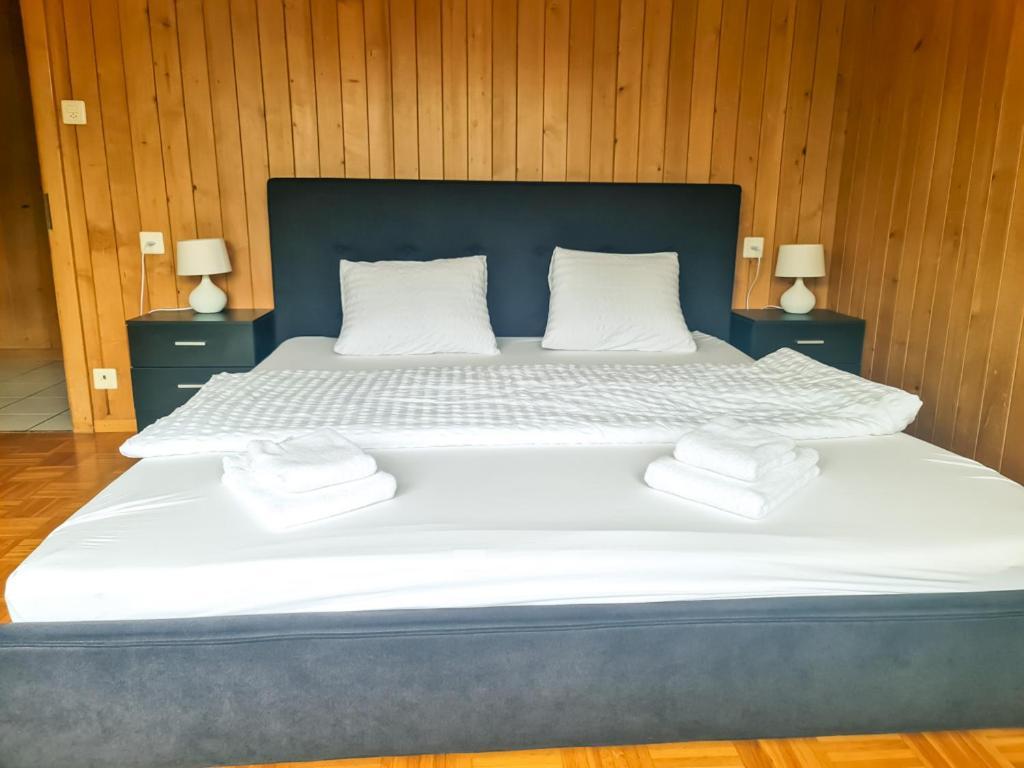Abendberg Apartment - Aare Jungfrau Ag Wilderswil Kültér fotó