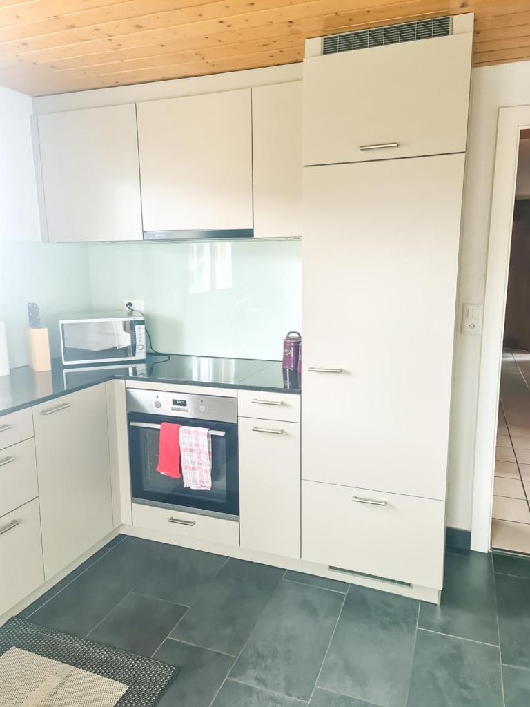 Abendberg Apartment - Aare Jungfrau Ag Wilderswil Kültér fotó